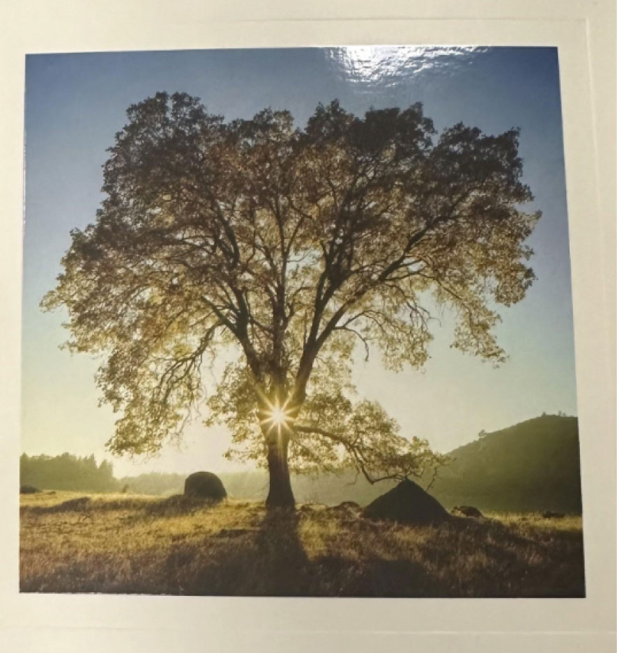 Patient thank-you card – Conservative Management